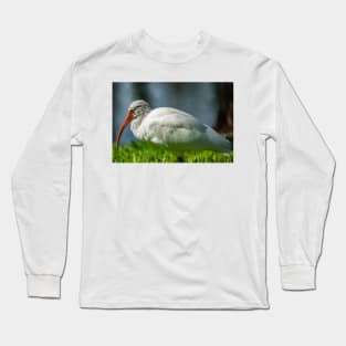 American white ibis  of Florida 2 Long Sleeve T-Shirt